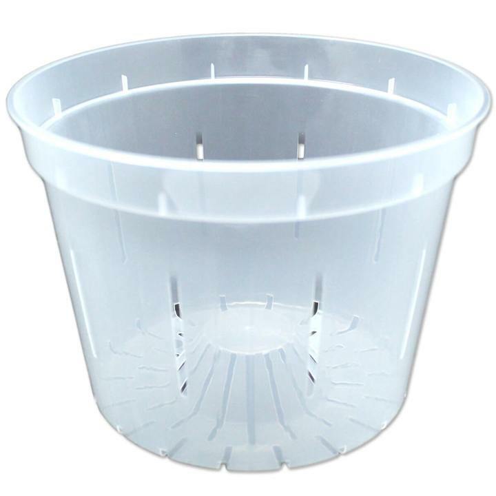 8" Slotted Clear Orchid Pots (3 Pack) by rePotme