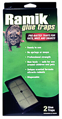 Ramik 116230 Rat Glue Board, 2-Pk. - Quantity 12