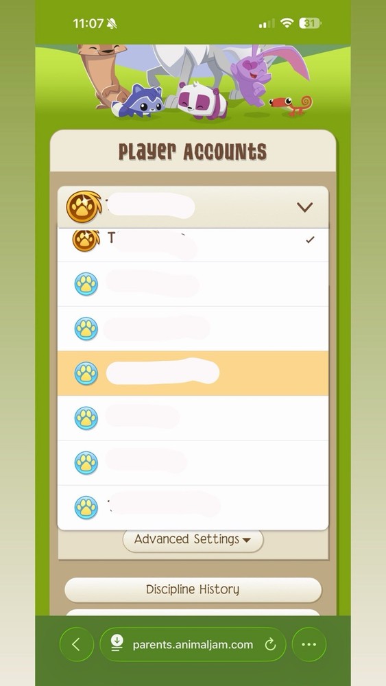 Animal Jam Account