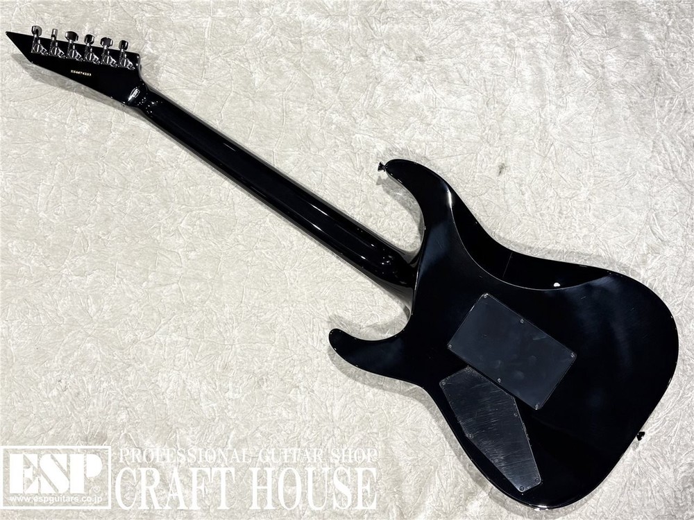 E-II HORIZON SGZ Custom Black