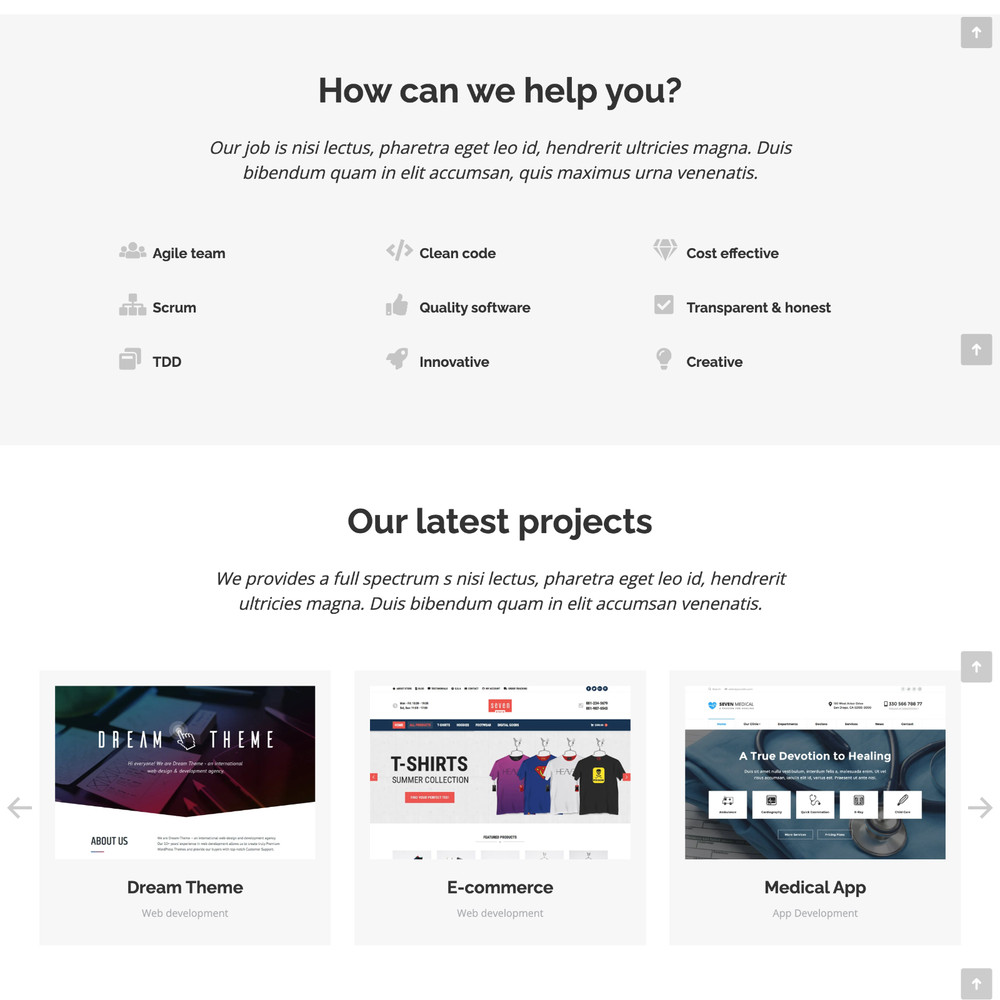 Software Company Website Design with Free VPS Web Hosting and Installation