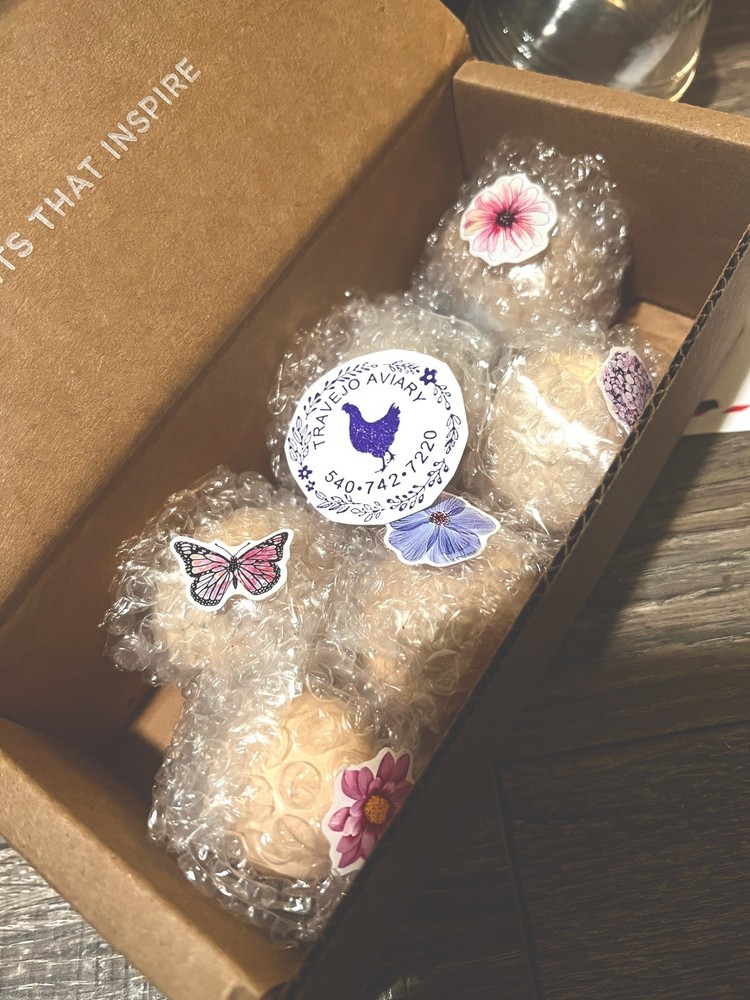 🐦‍🔥 Mille Fleur D'Uccle Bantam E G G S for HATCHING 🐦‍🔥