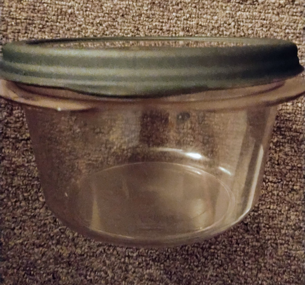 Vintage Stain Shield Plastic Container with Lid