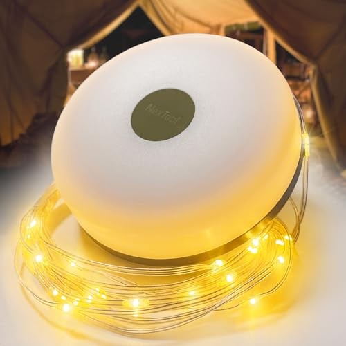 Camping Lights String Christmas: Outdoor String Light with 32.8ft (USB, 1-Pack)