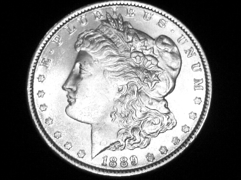 1889 Morgan Dollar --- Very Choice Uncirculated