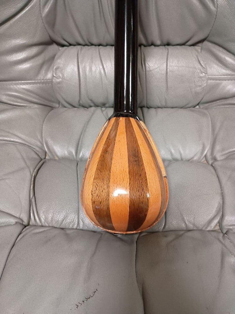 Beautiful item Rare item Flower pattern Mandolin with case