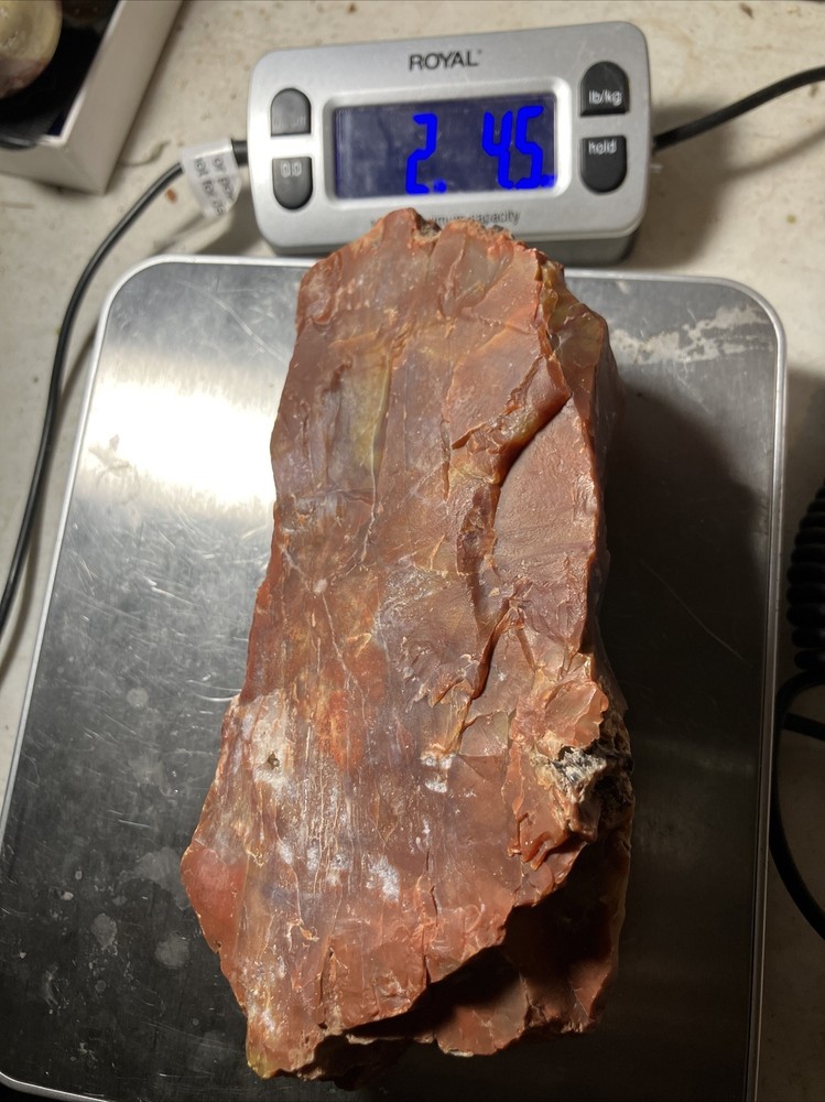 Arizona Petrified Wood
