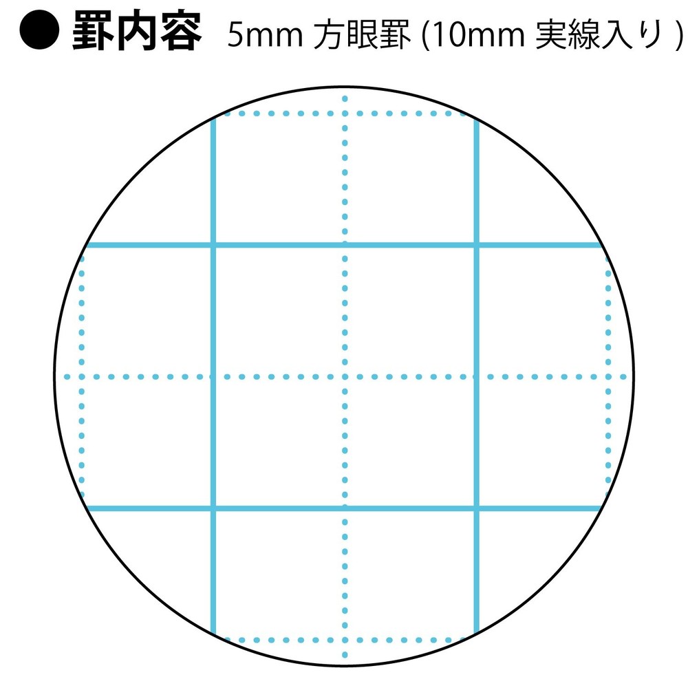 Campus Notebook Smart Campus Usage Specific 5mm Grid Blue