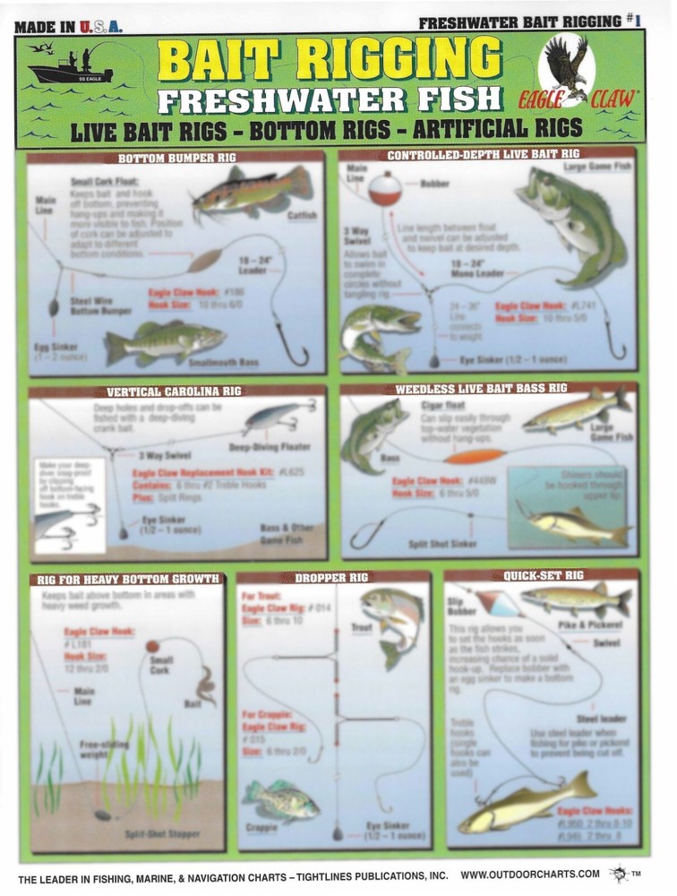 Freshwater Bait Rigging Guide #1 - Waterproof Reference