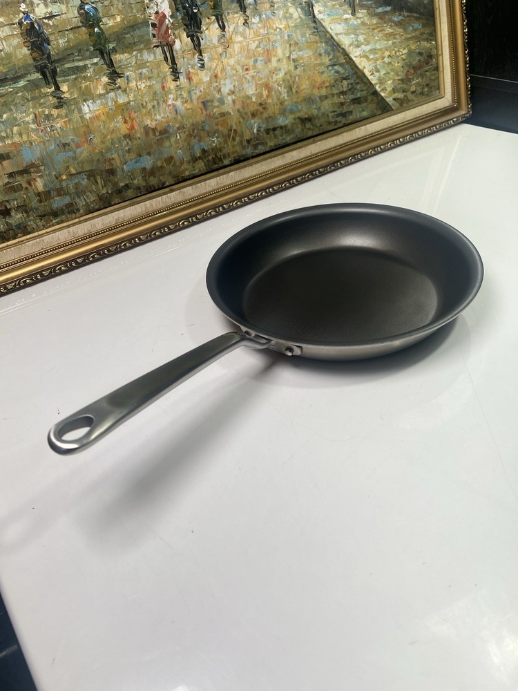 Made In Cookware ProCoat  Pan 10”