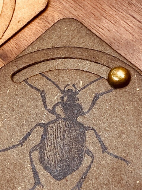 Bronze mushroom brads (50 count)