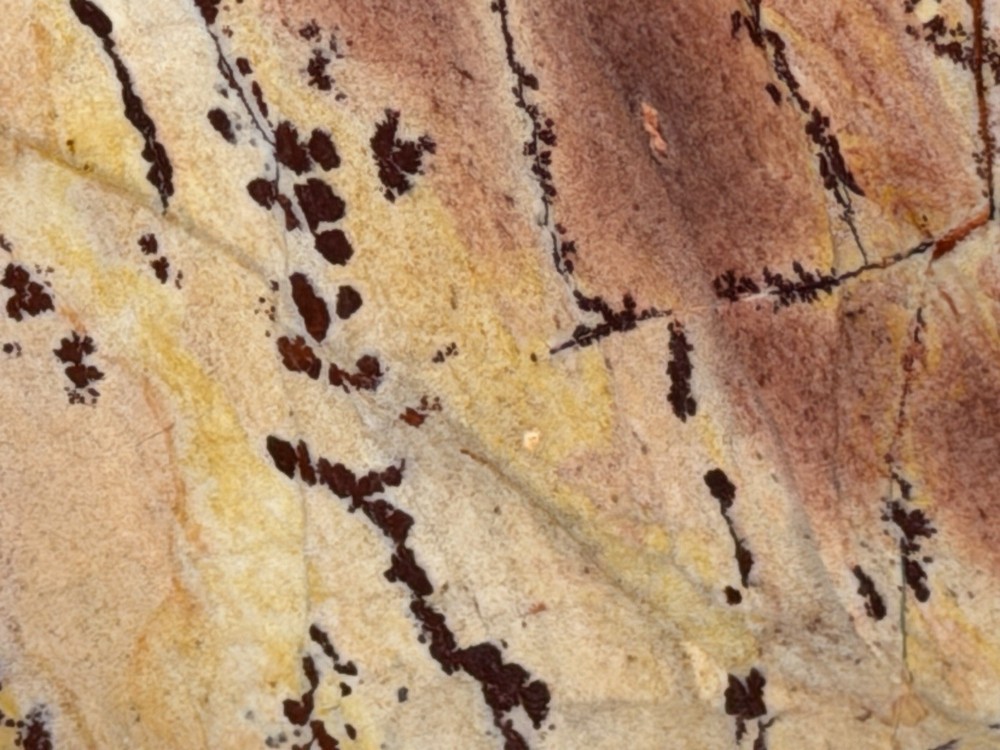 AA+ Owyhee Dendritic Slab, Lot #268