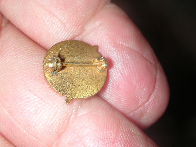 Consolidated Vultee 5 yr pin