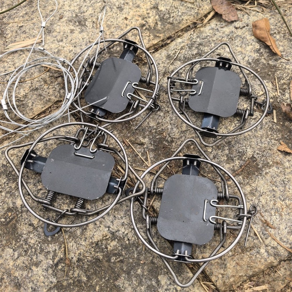 4Pc & 4.33In / 11cm Strong Power Coil Spring Trap Nutria Rabbit
