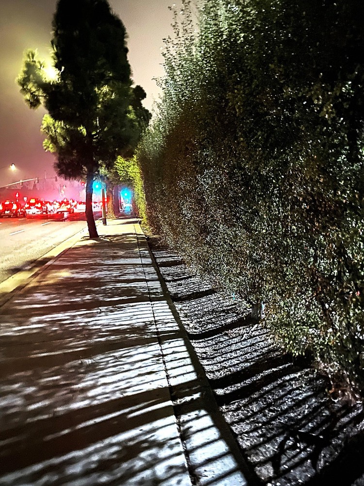 DIGITAL ART