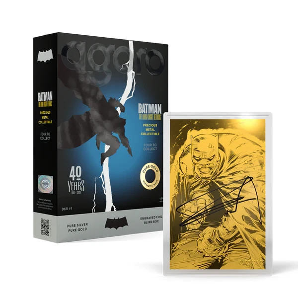 Batman: The Dark Knight Returns™ Blind Box (Single)