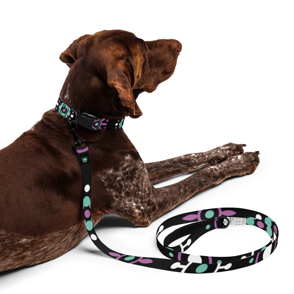 Pet collar & leash