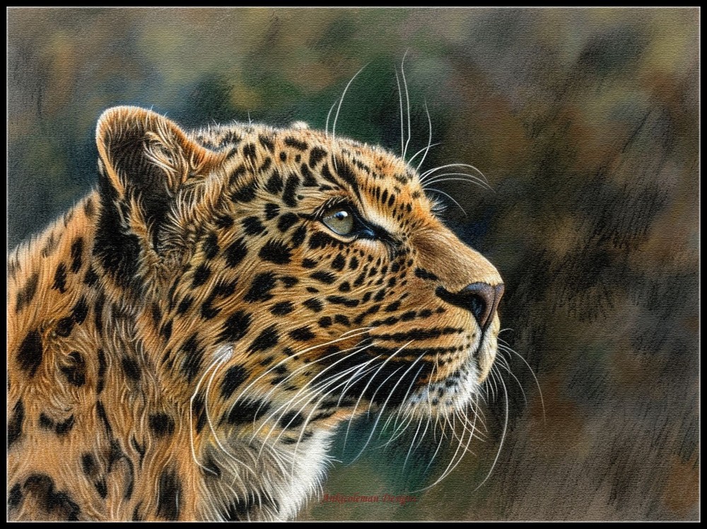 Elegant Leopard - DIY Chart Counted Cross Stitch Patterns Needlework DMC Color