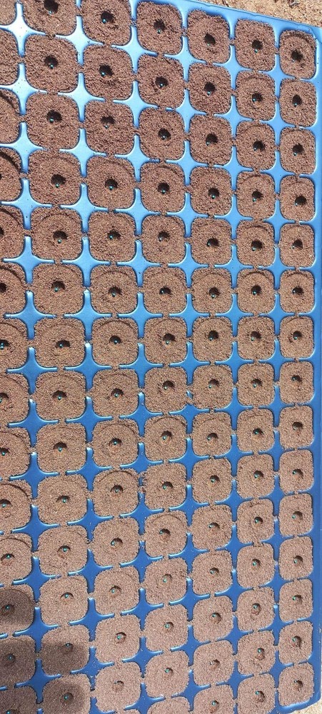 COCO COIR | COCO PEAT | NATURAL ORGANIC COMPOST | HYDROPONIC GROWING MEDIA(1kg)