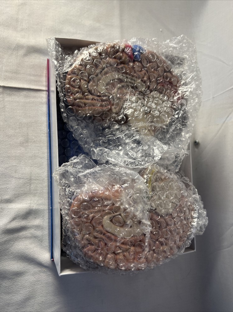 3-D Maxalt Merck An Inside Look At Migraine Teaching Tool