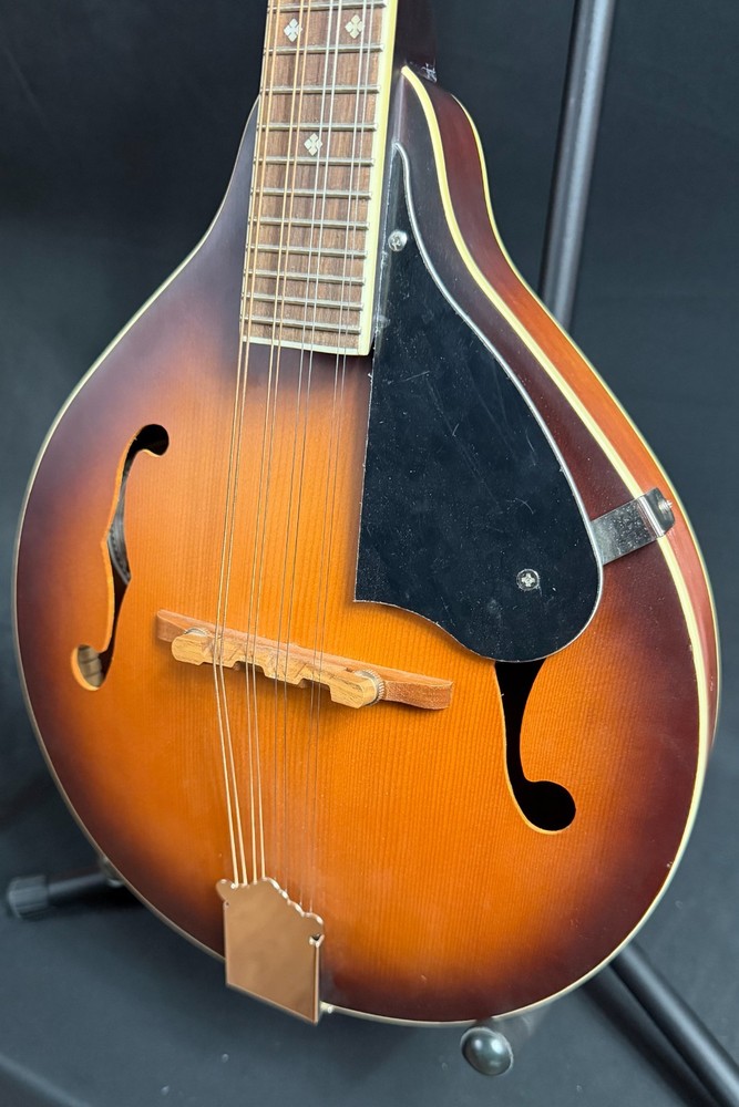 Fender PM-180E Paramount Bluegrass A-Style Mandolin Aged Cognac Burst w/ Fishman