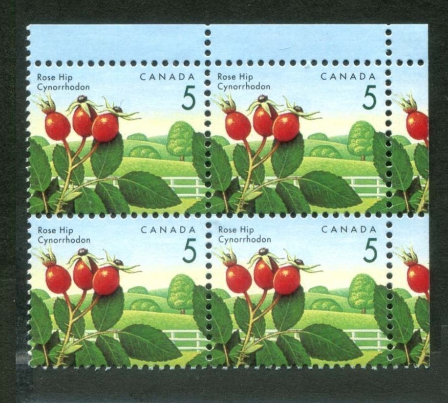 CANADA 1992 Sc1352 Rose Hip 5¢ MNH TR CORNER BLOCK