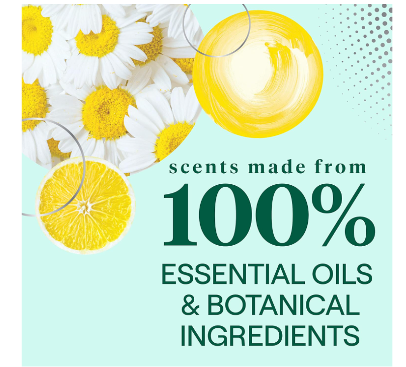 Seventh Generation All Purpose Cleaner, Biodegradable Formula, Free & Clear 23OZ