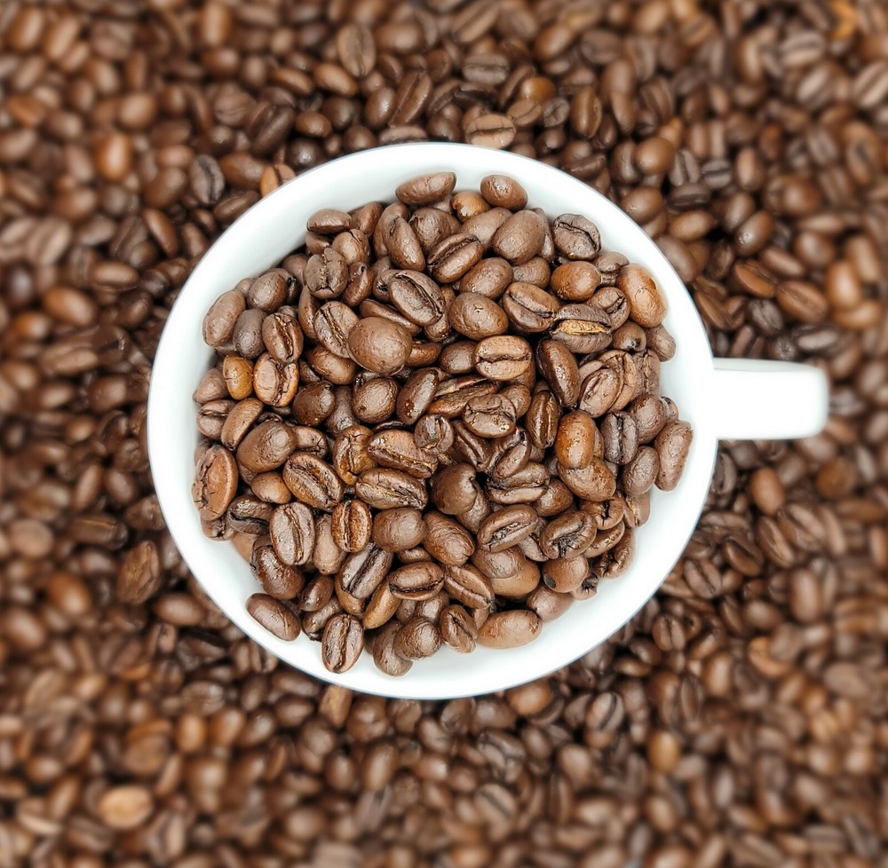 Bucks Medium Dark Fresh Roasted Coffee 12OZ