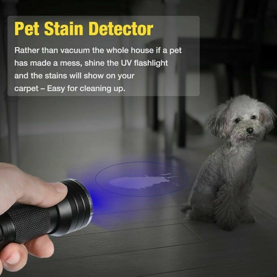 UV Flashlight Black Light Flashlight Ultraviolet LED Pet Urine Stains Detector