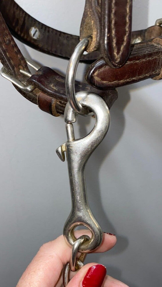 CIRCLE Y WESTERN GERMAN SILVER SHOW HALTER & LEAD #46201