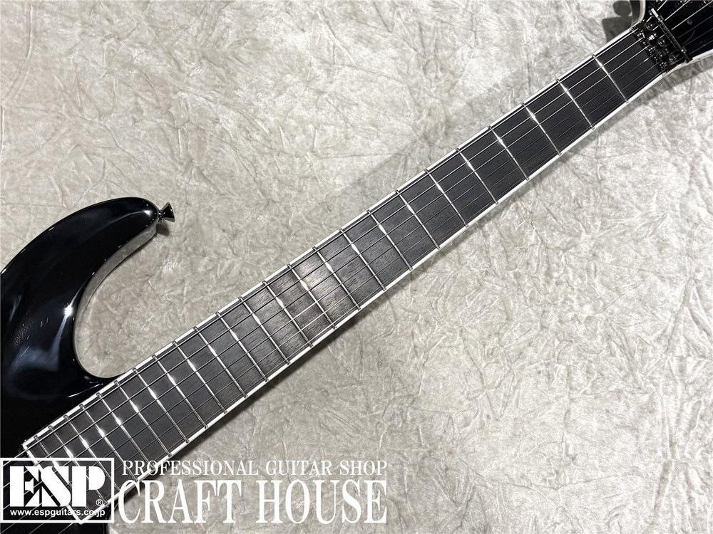 E-II HORIZON SGZ Custom Black