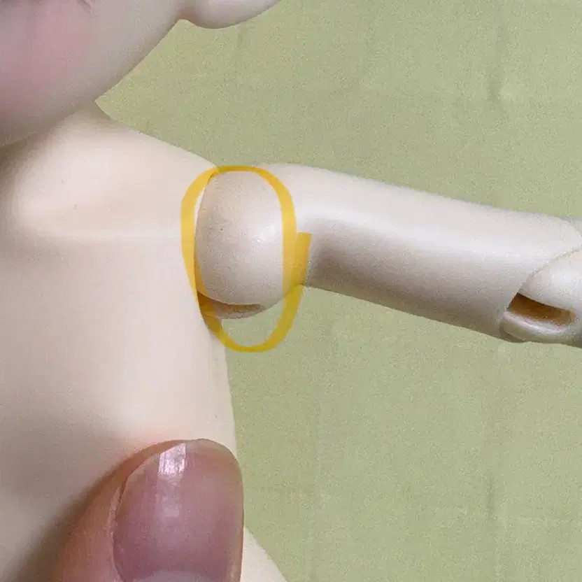 Lutz Hanuel Head + Rinas Shushu Gubadi