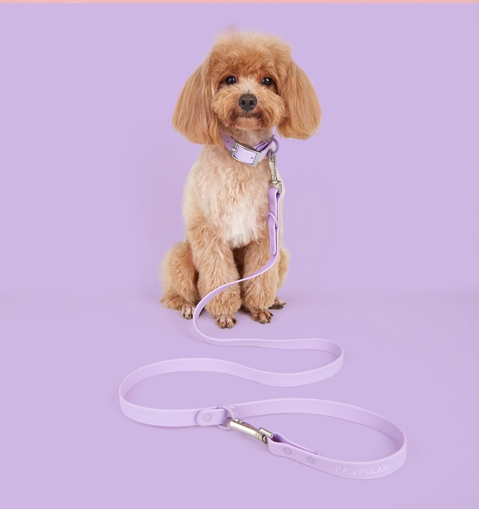 pet traction rope set