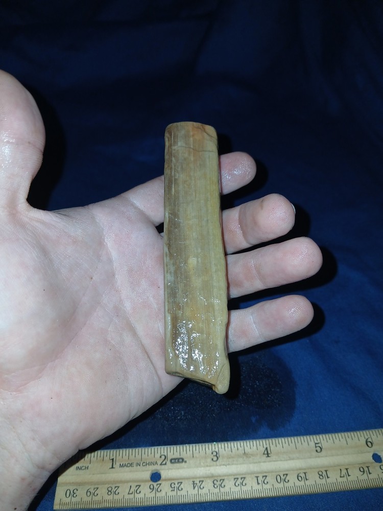 4 oz Texas Petrified Wood