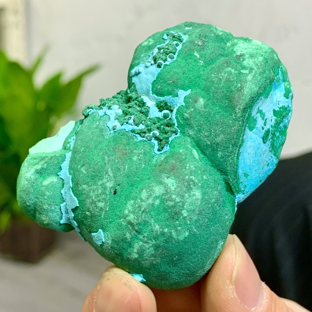 102G Natural Chrysocolla/Malachite transparent cluster rough mineral sample