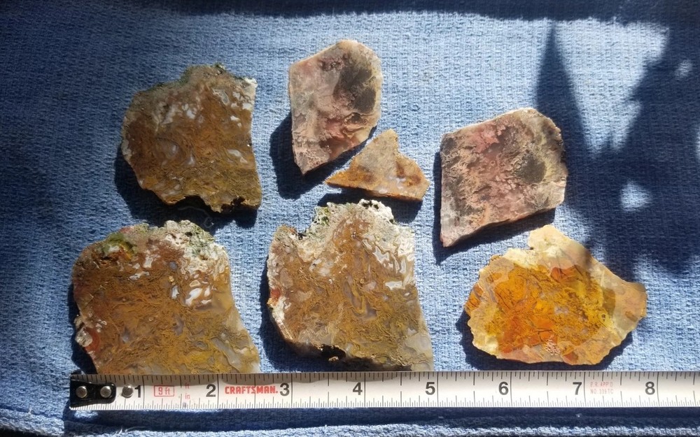 Great Multicolor Moss Plume Agate 7 Slab Lot 230g Various Specimens Translucent