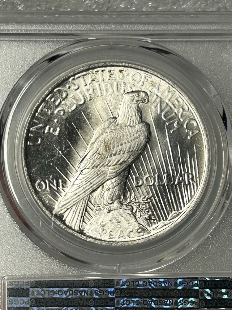 1923 Peace Silver $1 PCGS MS 64 BX20-8