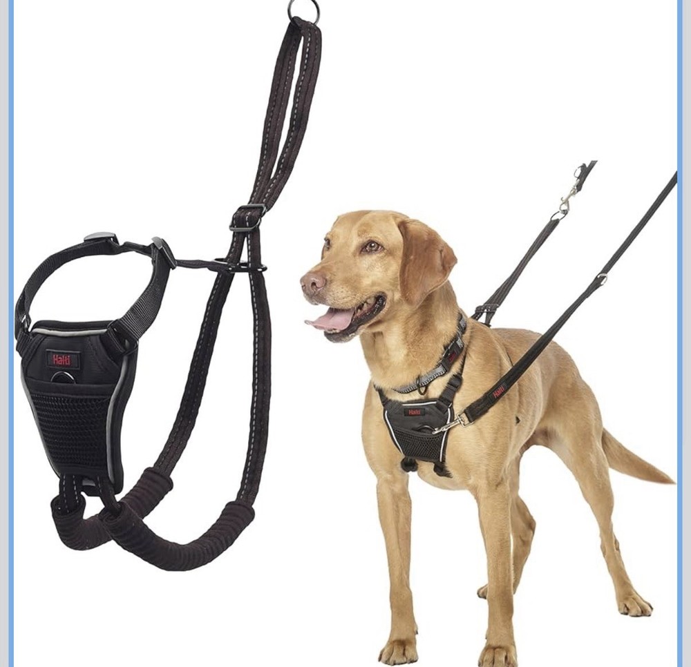 No Pull Harness Adjustable, Lightweight,Easy to Use. Reflective  (M, Black)