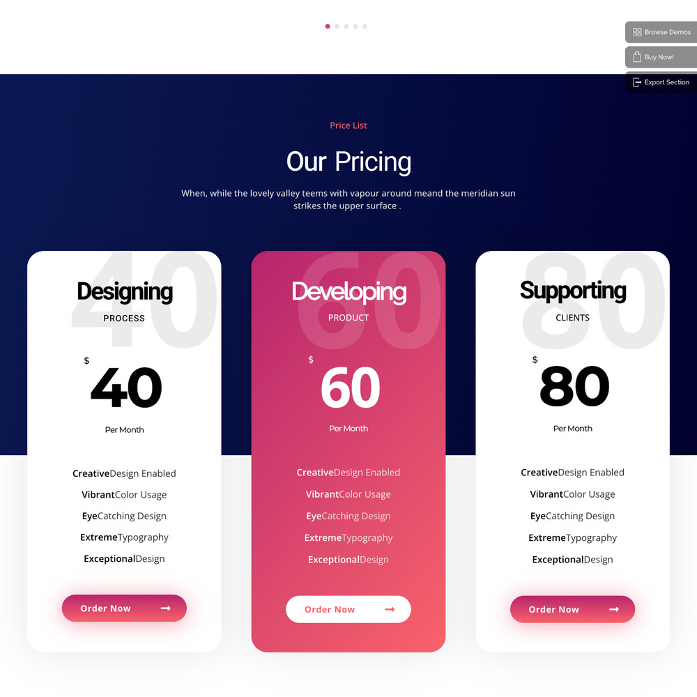 Digital Technology Website Design with Free VPS Web Hosting and Installation