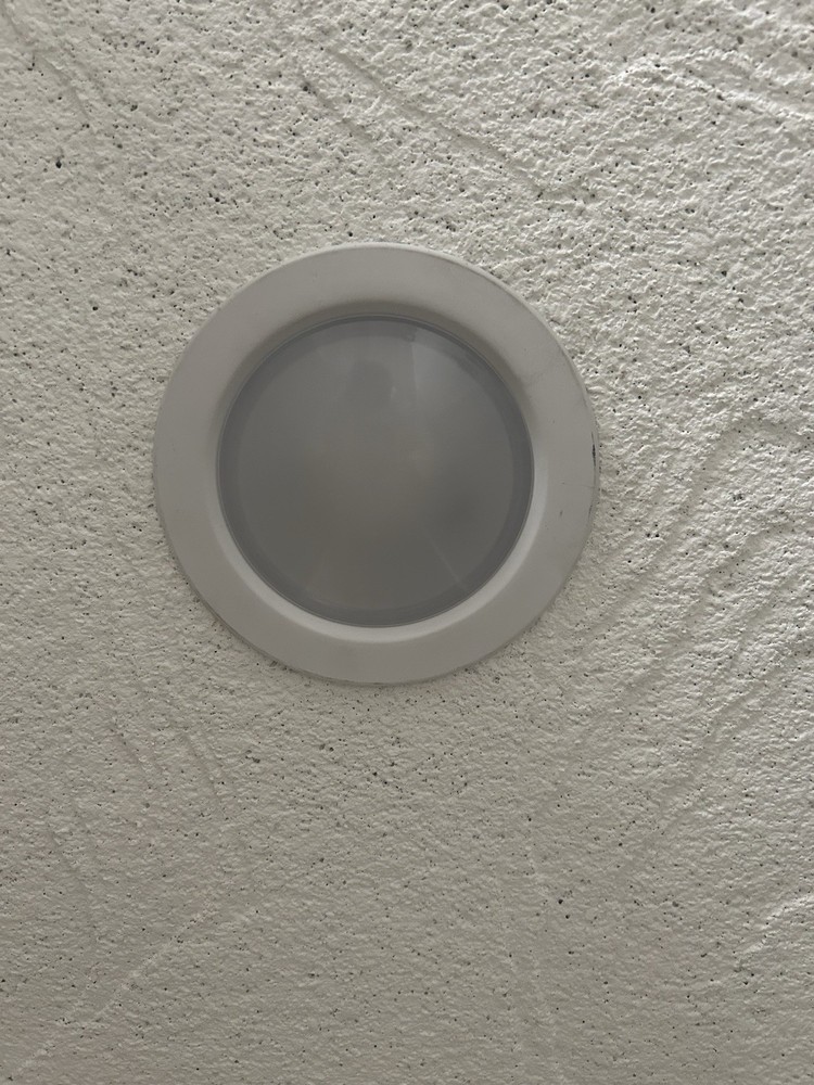 Replacement Bulbs TL23005B (6 bulbs per box)