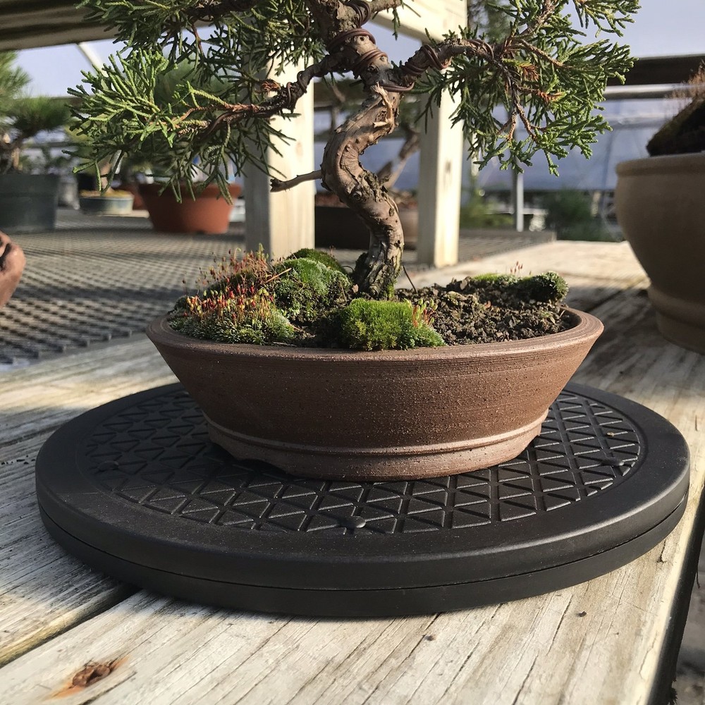 Bonsai Tree Turntable 360 Degree Rotating Display Base