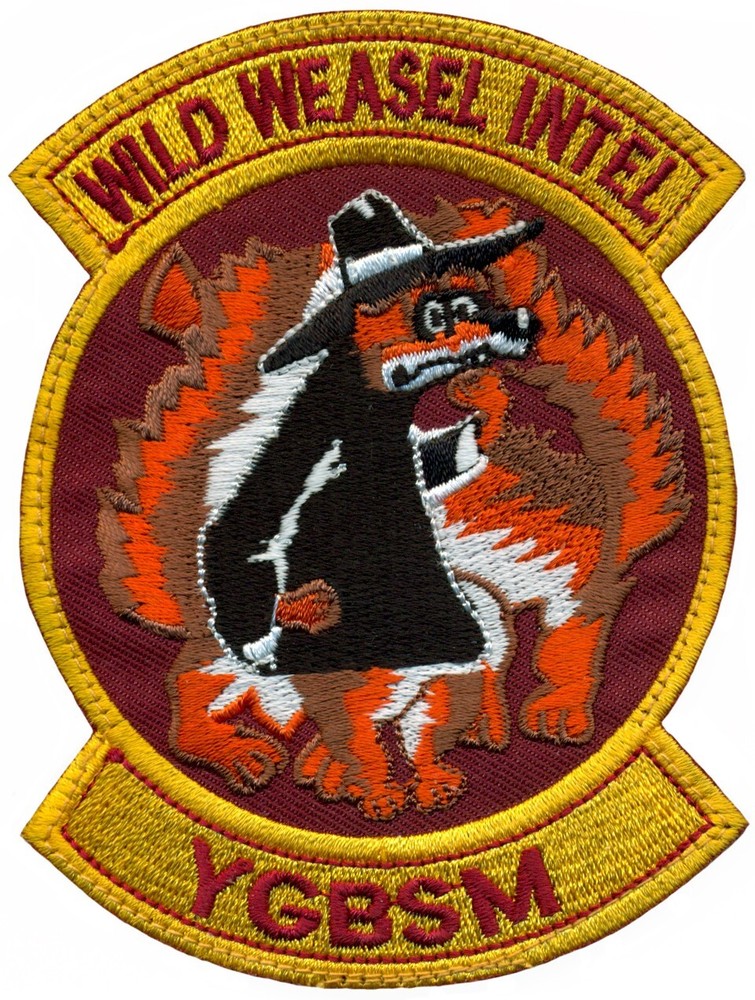 USAF WILD WEASEL INTELLIGENCE PATCH