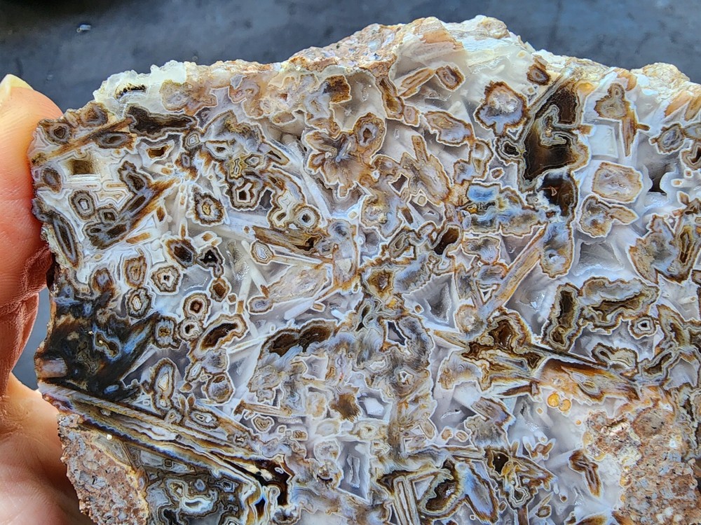 34.03 oz (965 gr) Agate Slab, Pseudomorph Agate, Lapidary Slabs, Agate Rough