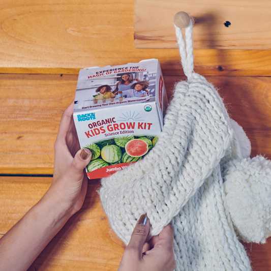 Kids Grow Kit - Science Edition - Organic Bean & Watermelon 2 Pack