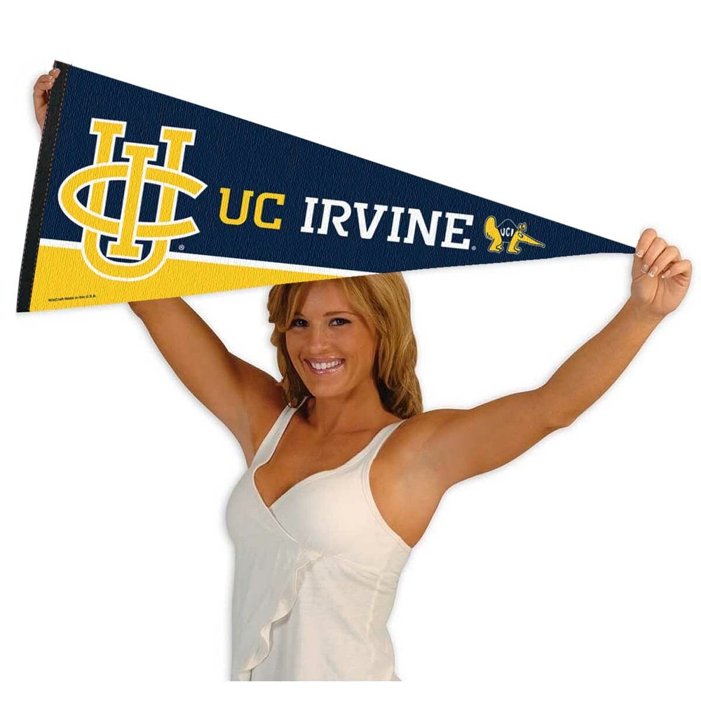 UC Irvine 12x30 Felt Pennant