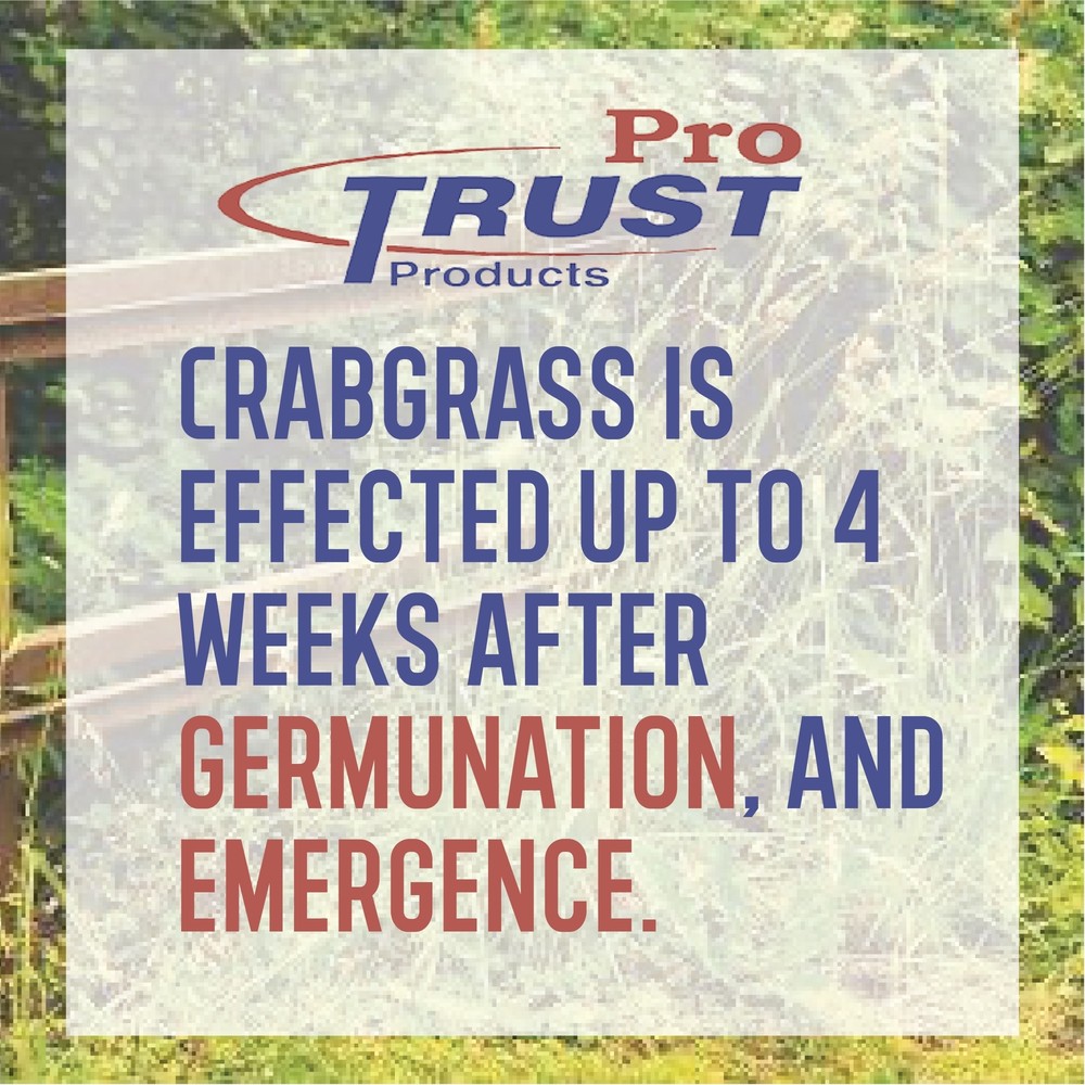 Turf Trust Crabgrass Control with Dimension 0-0-7, 5M, 10 Pound Bag