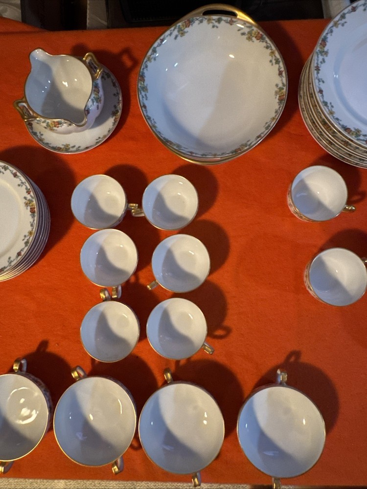 Vintage Limoges Nasturtium China Set