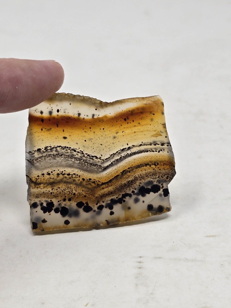 Polished Montana Moss Agate Yellowstone River stone