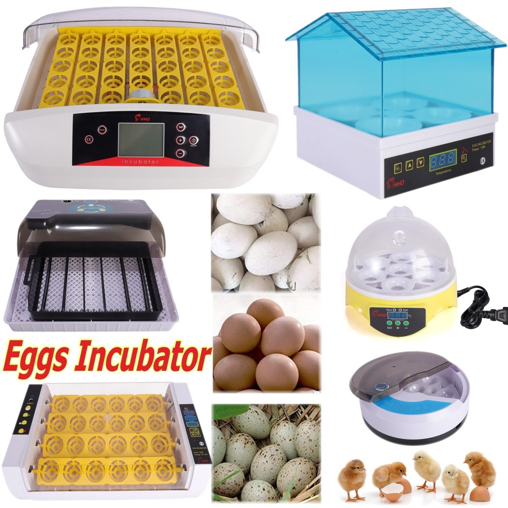 Egg Incubator Automatic Chicken Quail Chick Bird Hatcher Temperature Control