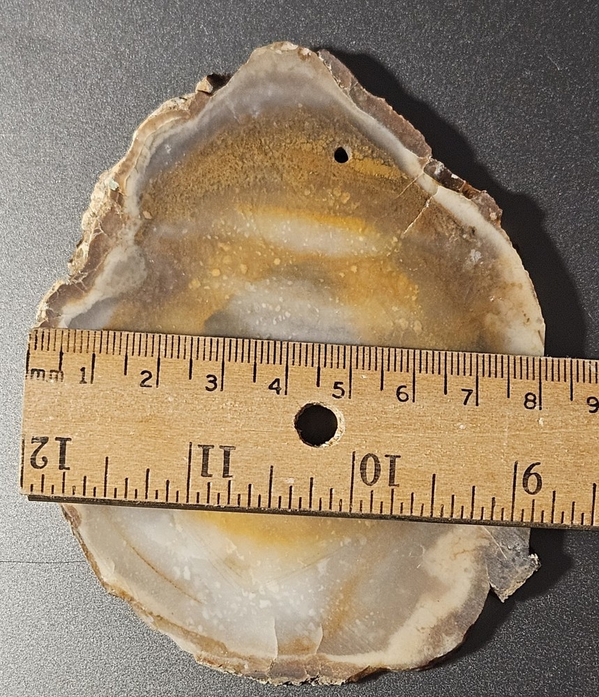 Agate Lapidary Slab 101 Grams